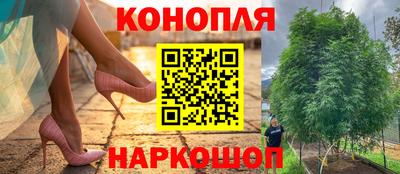 прущий лед Будённовск