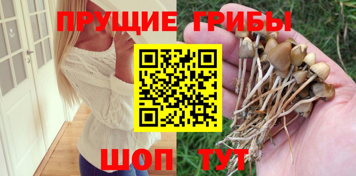 Псилоцибиновые грибы прущие грибы  Псилоцибиновые грибы GOLDEN TEACHER  Вход с VPN  Ростов Великий 